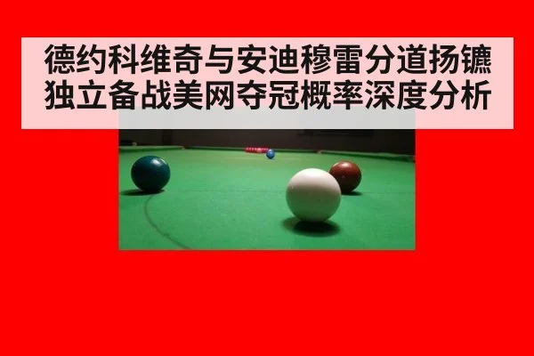 德约科维奇与安迪穆雷分道扬镳 独立备战美网夺冠概率深度分析